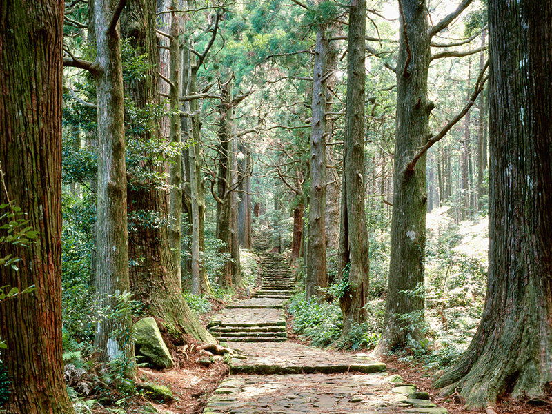 熊野古道